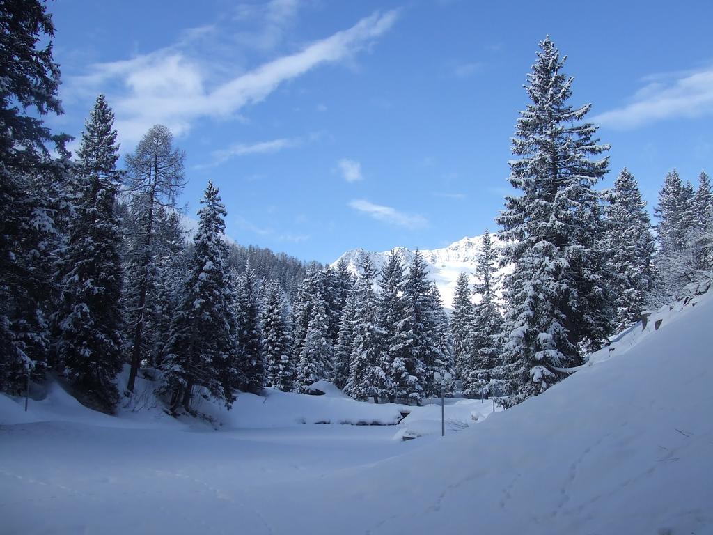 Apartamento Rothornblick Arosa Exterior foto